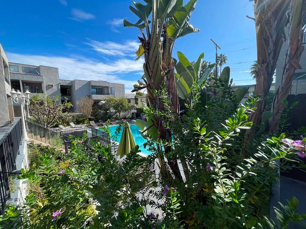 1 bed, $2,395 — Photo 4