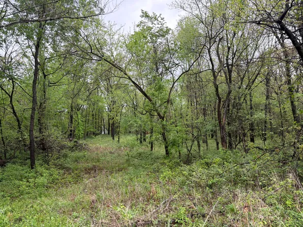 Xxx E Ivy Road #01-100488-1000, Carthage, MO 64836