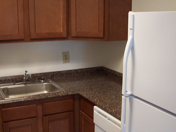 New Kitchen Cabinets, Countertops and Full-Sized Dishwasher