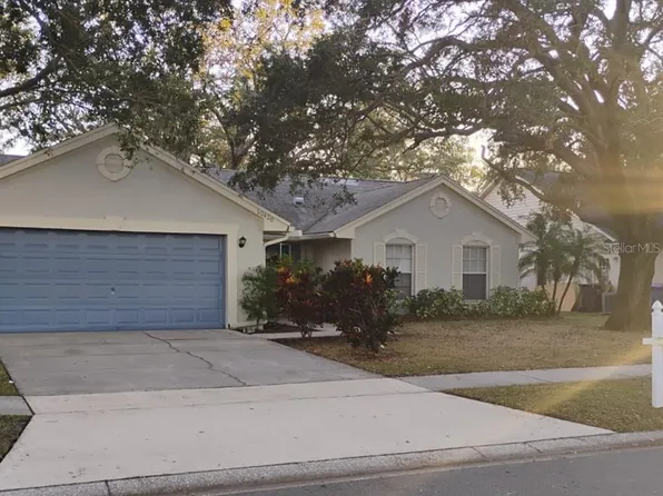 10420 Ashley Oaks Dr, Riverview, FL 33578