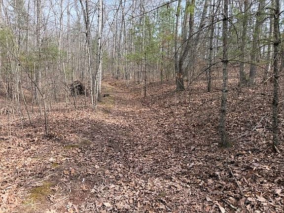 3rd image of LOT 8 Walton Furnace Rd