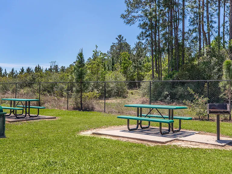 Saddlebrook Manor — Photo 15