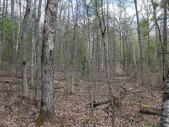 5th image of ON E BASS LAKE RD