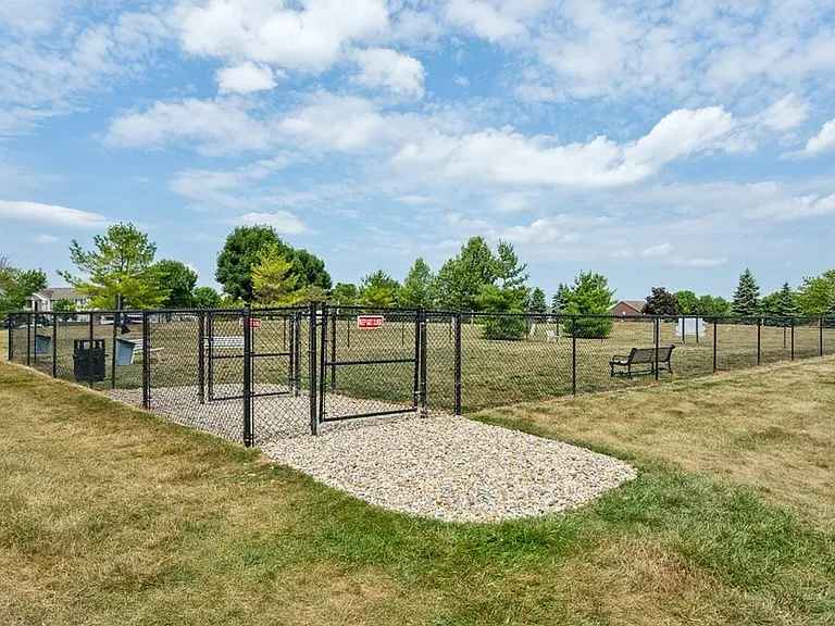 Dog Park