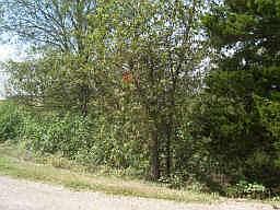 2nd image of 400 McCrady Rd