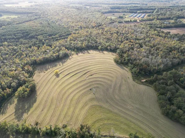0 County Road 3336, Brundidge, AL 36010