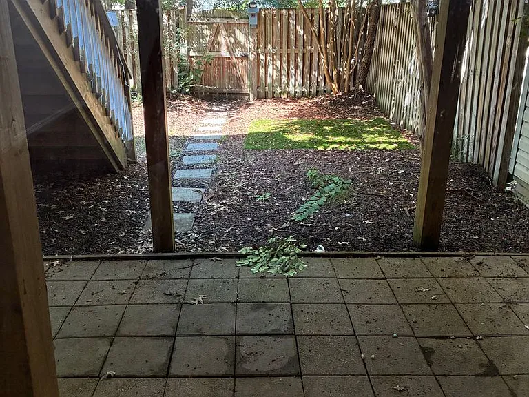 10164 Tree Frog Pl — Photo 16