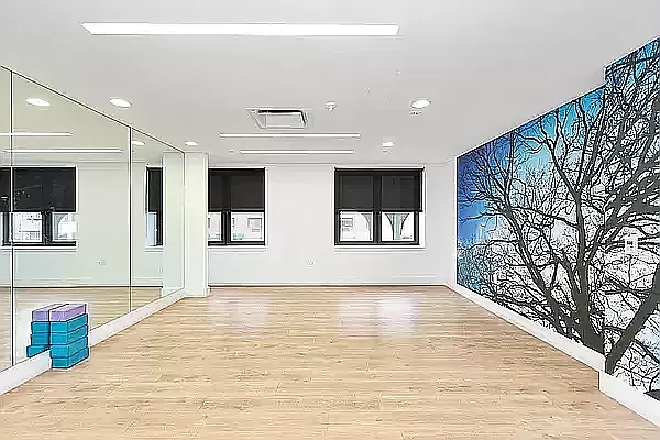 Rented by REAL New York | media 8