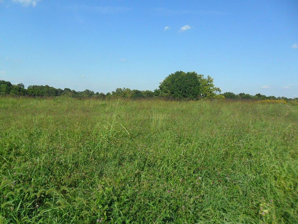 2nd image of 1 Walking Horse Way