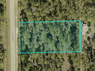 2214 Canton Ave, Alva, FL 33920