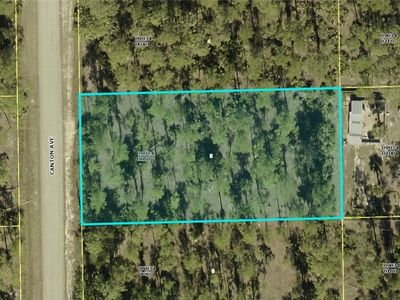 2214 Canton Ave, Alva, FL, 33920