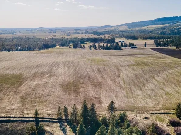 13507 E Gibbs Rd, Mica, WA 99023