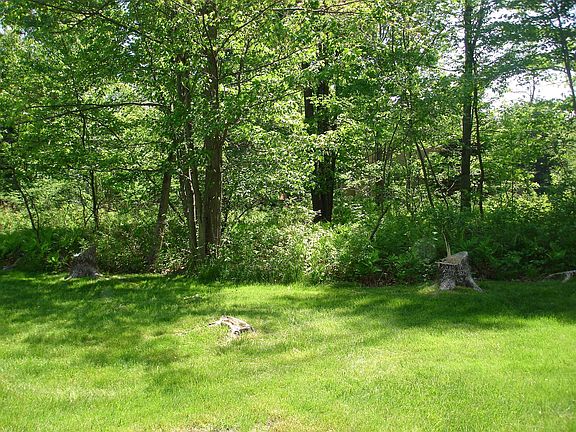4th image of 7528 Westwood Dr