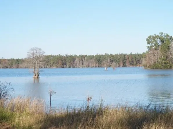 741 General Moultrie Dr, Bonneau, SC 29431