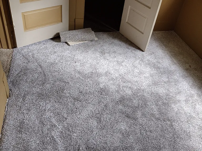 Bedroom #2, repainted and carpet May 2026.