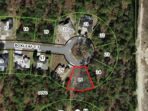 37 BOXLEAF COURT LOT 25, HOMOSASSA, FL 34446