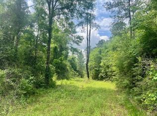 0 Jessie Stogner Rd, Sandy Hook, MS 39478