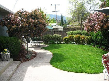 back yard - part