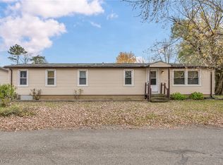 100 Anglers Ln, Lagrange, OH 44050