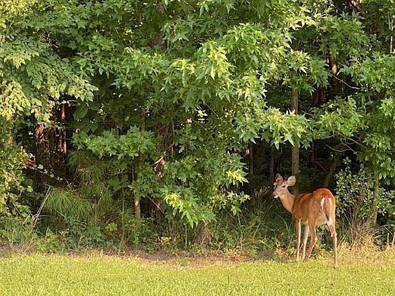 5th image of 211 Osprey Drive LOT 39