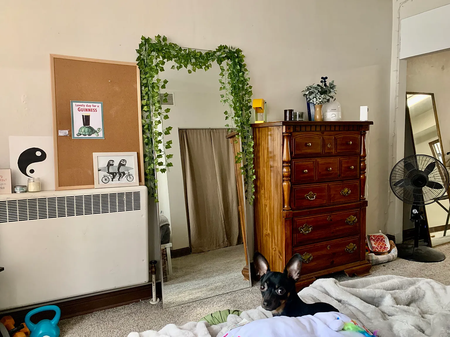 1 bed, 720 sqft, $1,250 — Photo 3