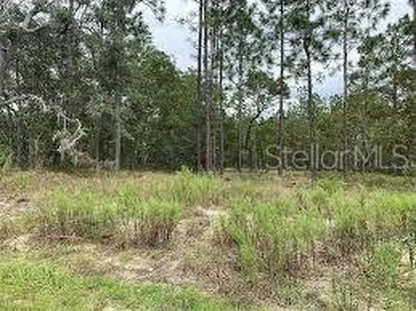 000 NW RIDGEWOOD ROAD LOT 28, DUNNELLON, FL 34431