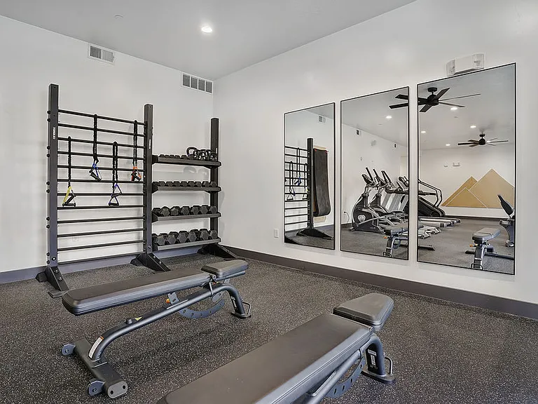 Weights and benches