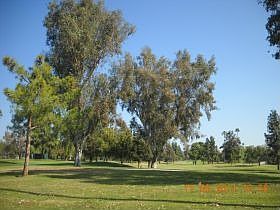 2nd image of 3909 Dalehurst Dr