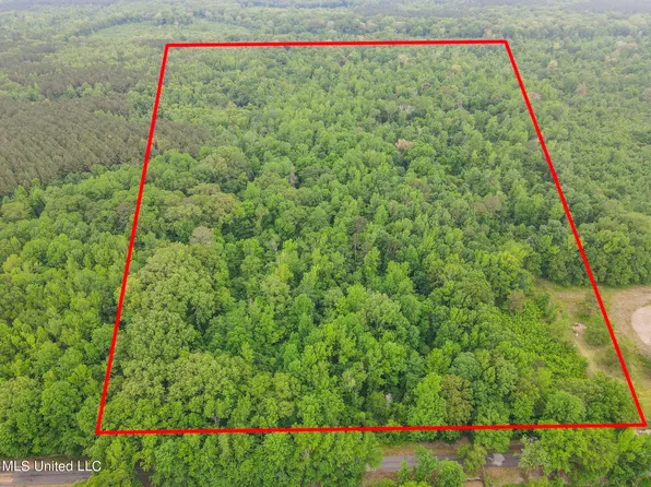 203 Garrett Ln, Pelahatchie, MS 39145