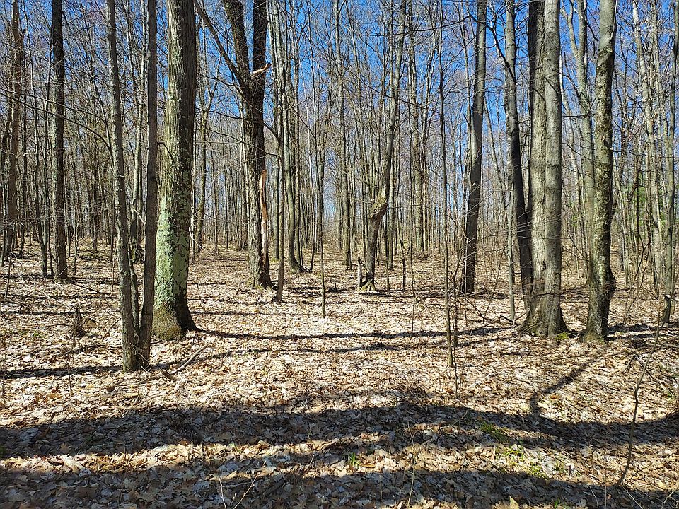 1st image of Hardwood