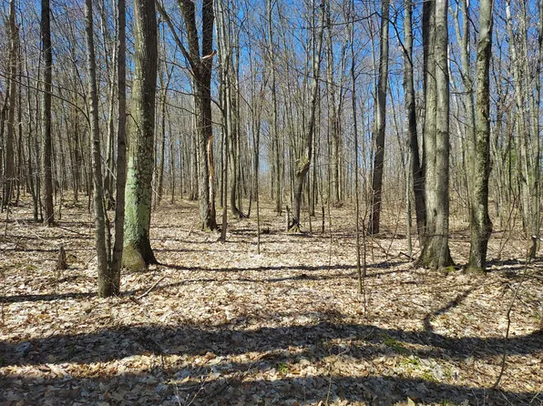 Hardwood, Evart, MI 49631