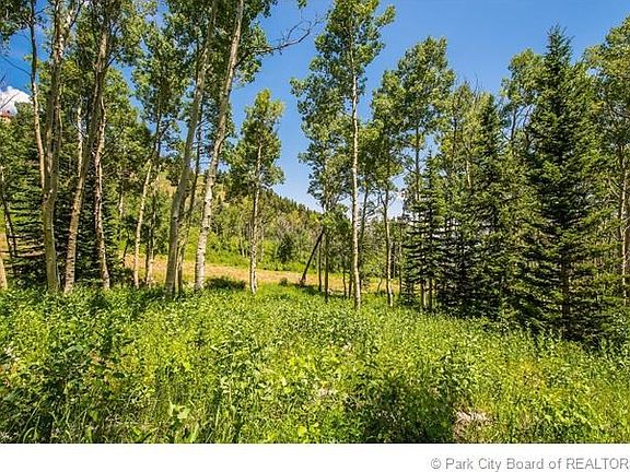 3rd image of 78 White Pine Canyon Rd
