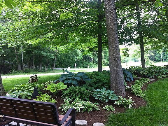 Hosta garden