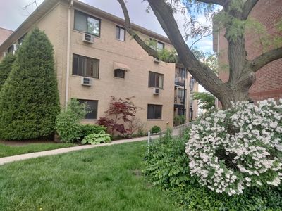 5500 W Higgins Ave APT 3N, Chicago, IL, 60630