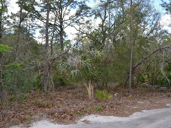 5th image of 1202 N Groveland Way