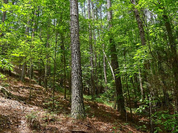 Compass South Land Sales Georgia Possom Hollow B 23