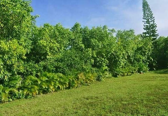 5th image of 12-7858 Ainaua Pl Lot 3