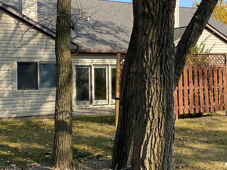 5310 Cotton Bay Dr W — Photo 17