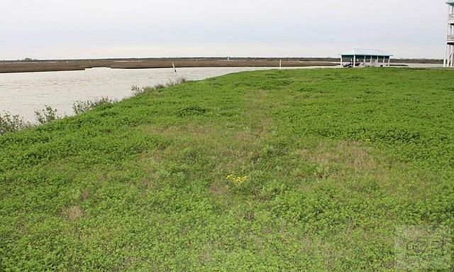1st image of 1305 Lagoon Dr