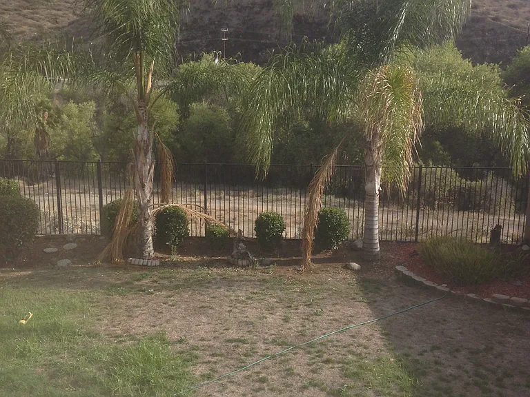31745 Canyon Estates Dr — Photo 31