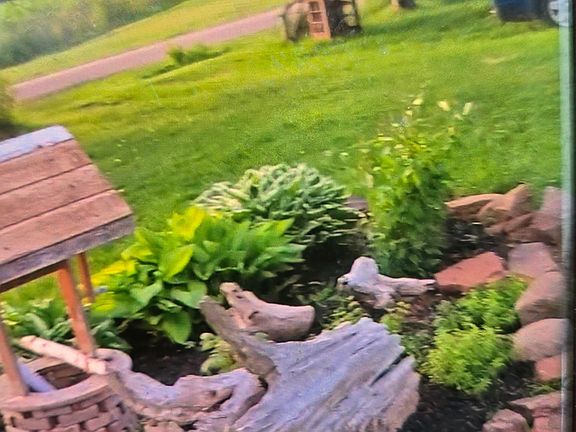 4th image of 651 Higgins Rd