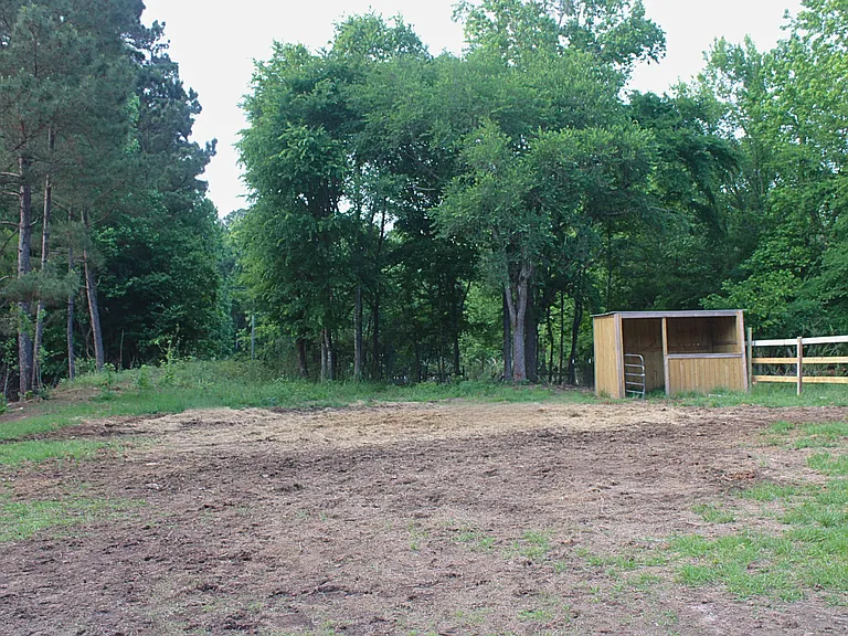 2850 County Road 233D — Photo 24