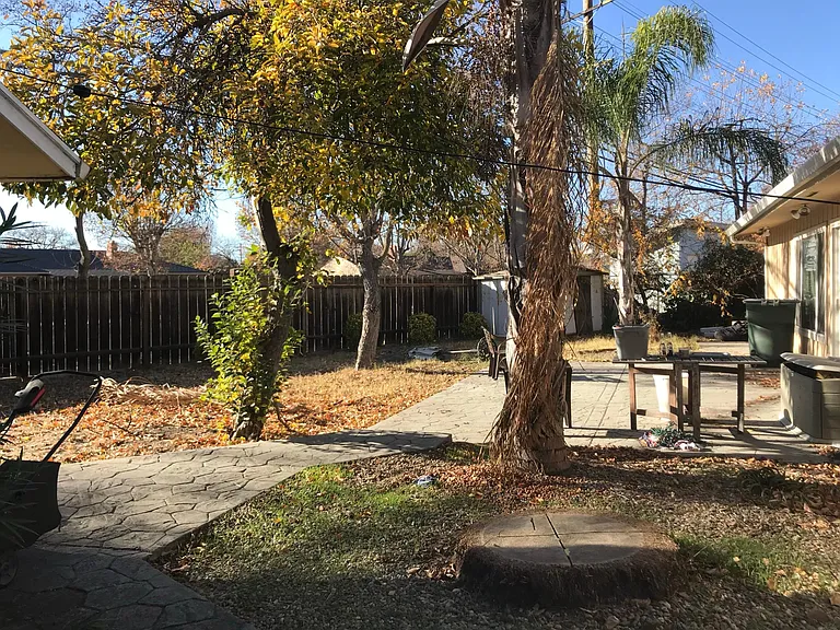 Backyard