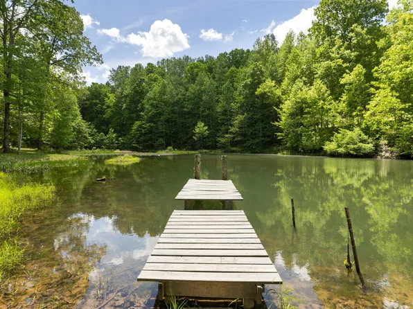 320 Dyestone Springs Rd, Hohenwald, TN 38462