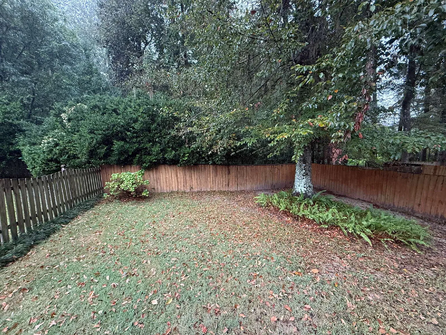 2 bed, 2.0 bath, 968 sqft, $1,495 — Photo 2
