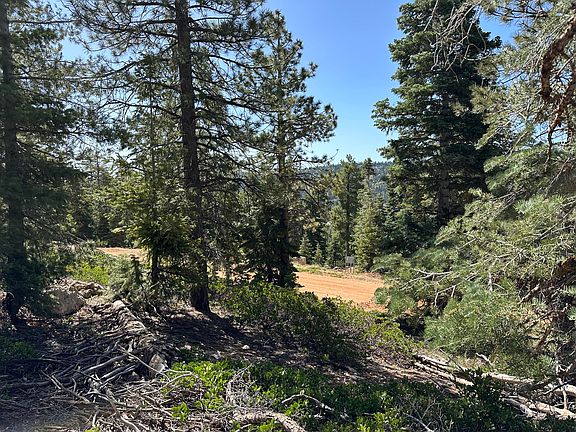 5th image of 1400 W Cascade Dr