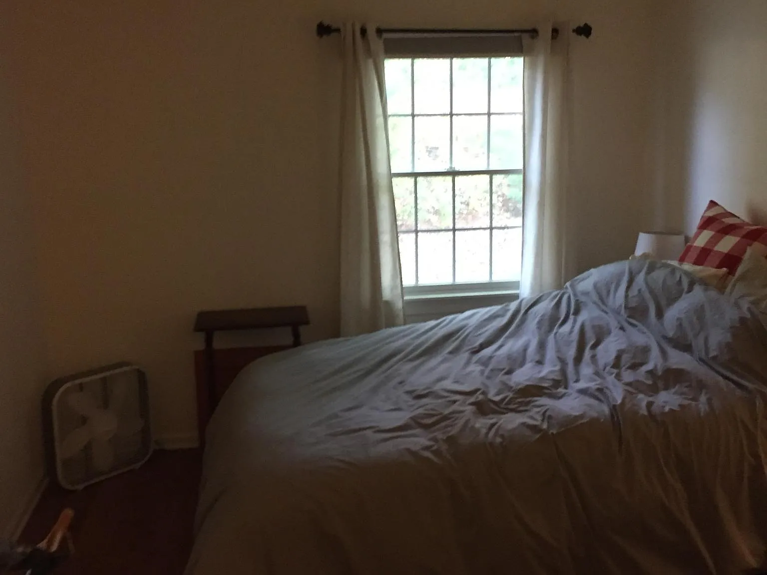 1 bed, 725 sqft, $1,900 — Photo 3
