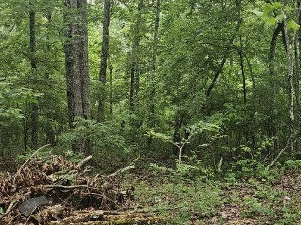 0 Dixie Ln Lot 59, Holladay, TN 38341