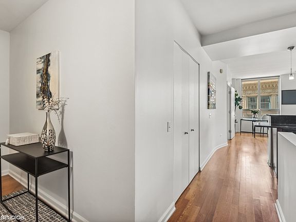3rd image of 1111 S Wabash Ave APT 1106