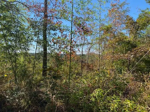 4427 County Road 470, Meridian, MS 39301